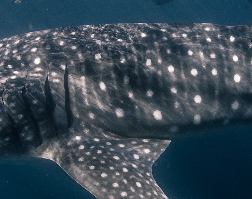 3220dd36-7525-4c4b-90aa-b4bc569fe1bb