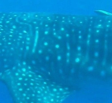 2046de36-1ee8-4247-8f86-ffb3f8d2a0f7