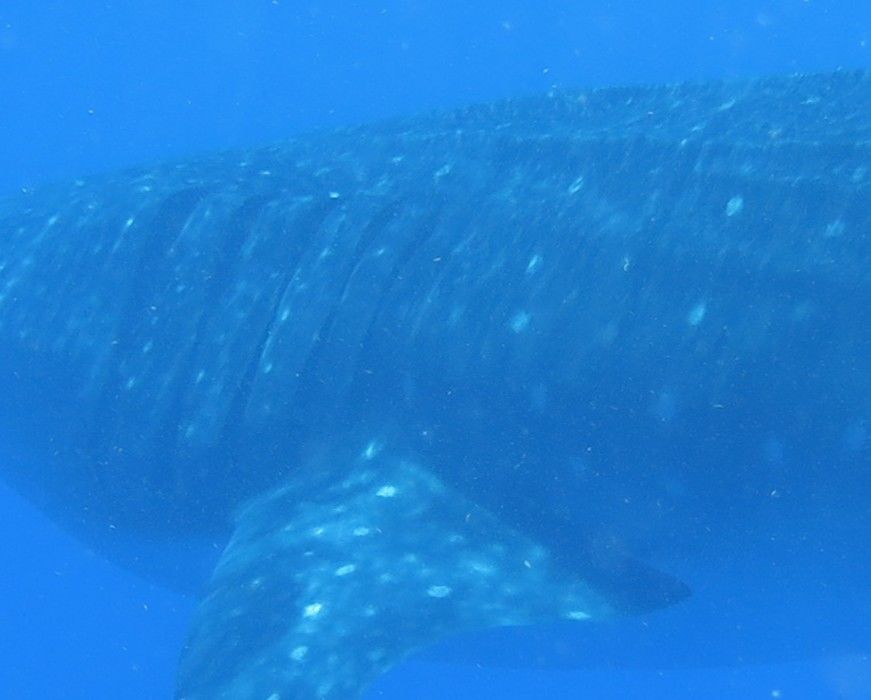 d2f0b738-b6f1-4380-b7f2-a3e566225255