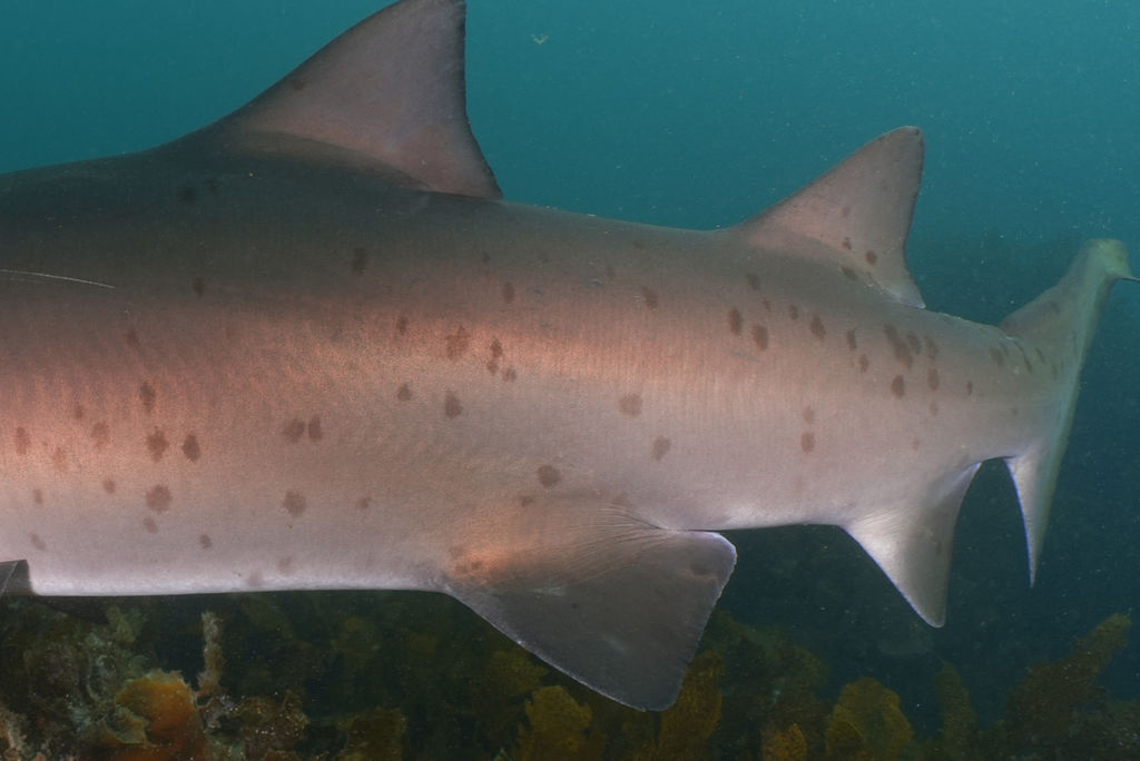 e2cfbfd1-ad2c-4cad-bd6f-710e1b7fd156