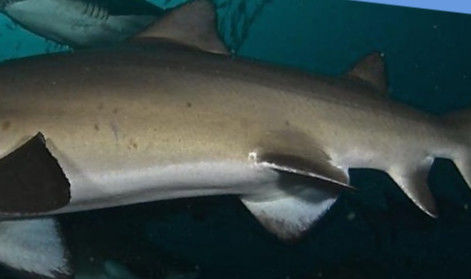 63205406-2151-4c08-9629-ba2507f53f3f