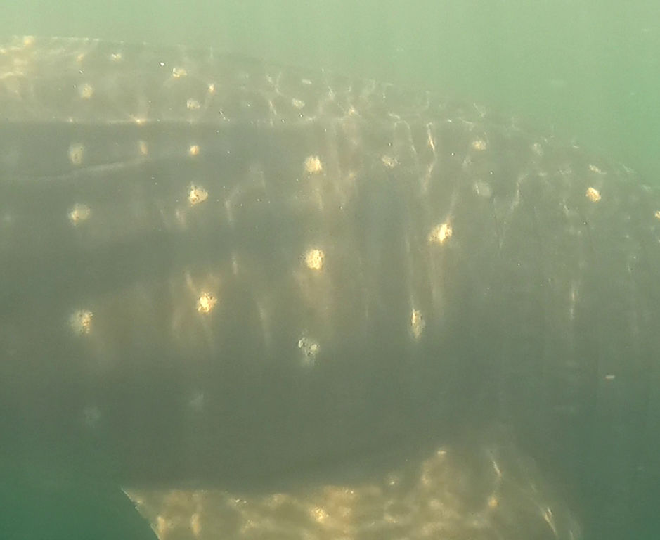 80910ff4-9e4b-45e0-8bd7-deeb198fab7b