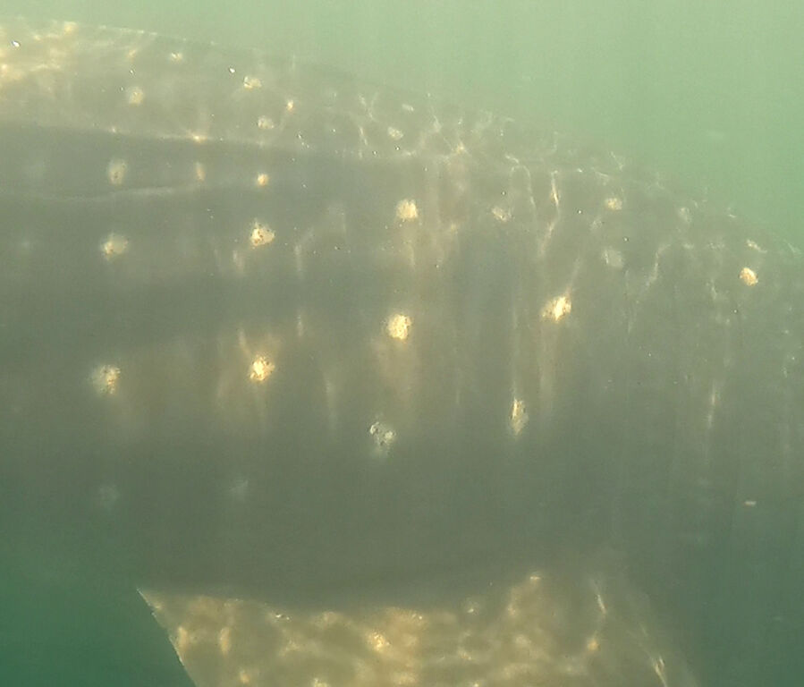 80910ff4-9e4b-45e0-8bd7-deeb198fab7b