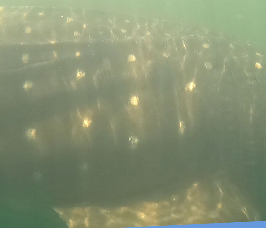 80910ff4-9e4b-45e0-8bd7-deeb198fab7b