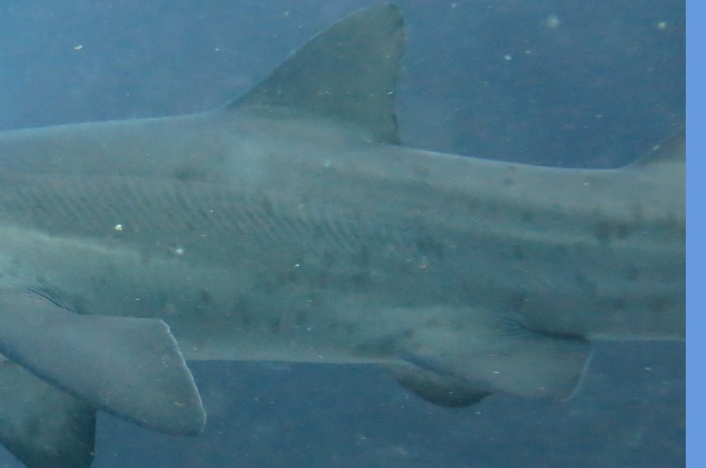 ecbfb8e9-af73-44e5-a0cb-eef308f5299d