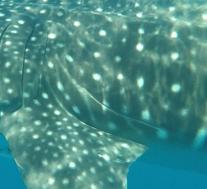 3f81f6f7-45bd-4fc3-bbd3-b090d4162212