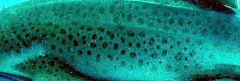 4eda4f73-8b83-4baf-a0d6-049c4f288524