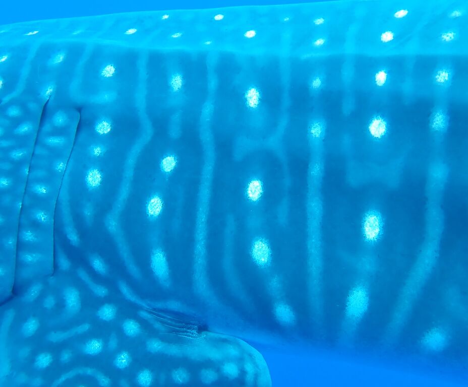 5ec2342a-0a83-43de-96e1-6b640228bd25