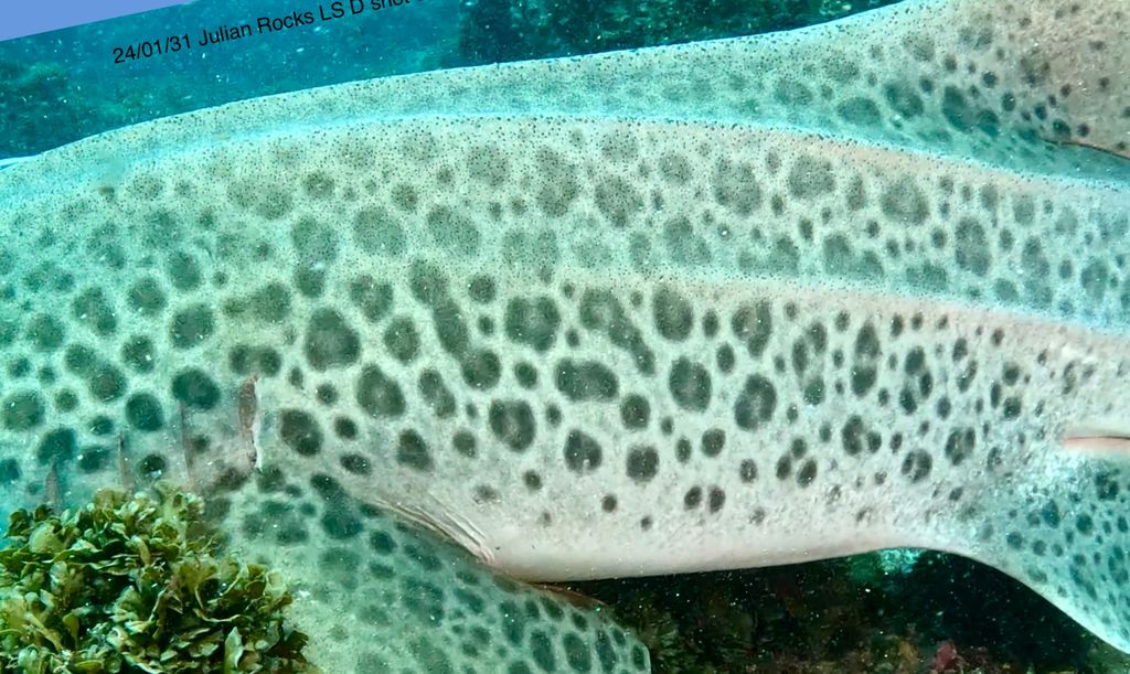 e965cda1-d920-4ea2-8b68-56265d047b6a