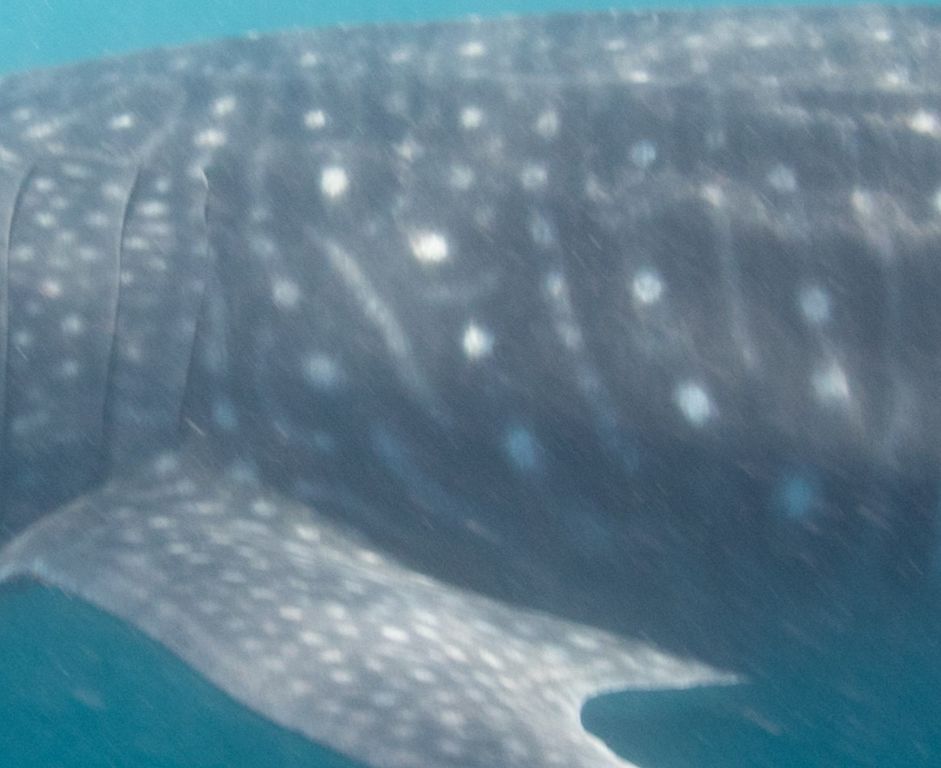 3dee0969-d870-49d1-b67a-a007f2d19687