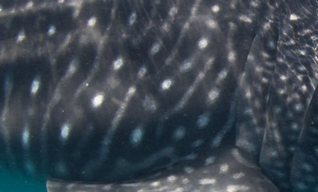 3dee0969-d870-49d1-b67a-a007f2d19687