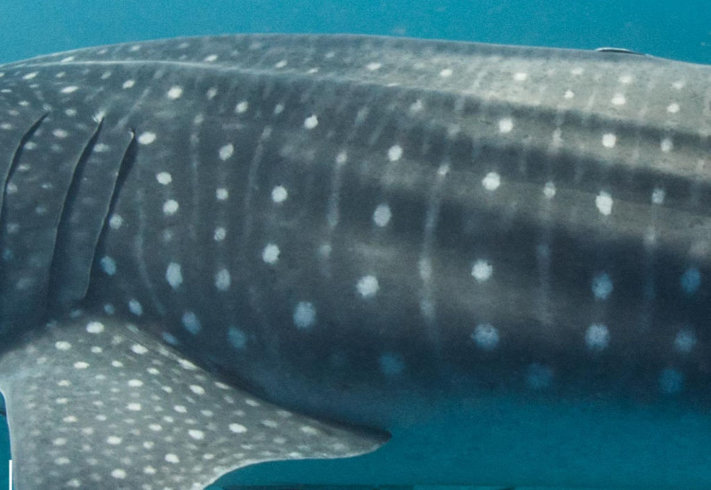 22a5be1e-9a55-441e-aad4-17af6d7fe886