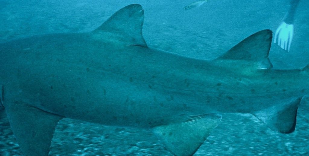 7c5c8003-2475-46ec-a316-885c20e33e28