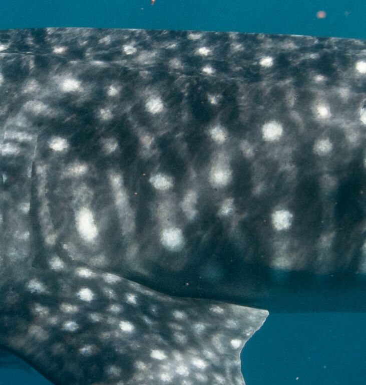 469a1fc2-5399-4c91-8333-cec2979a6382