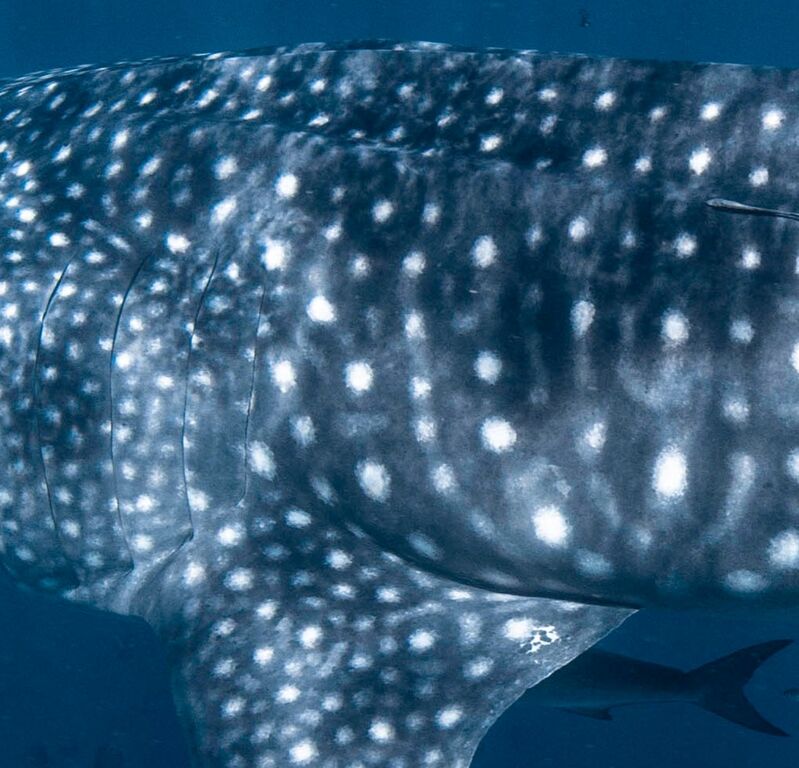 401ee7ae-13a8-4594-9ece-875e695e6b15