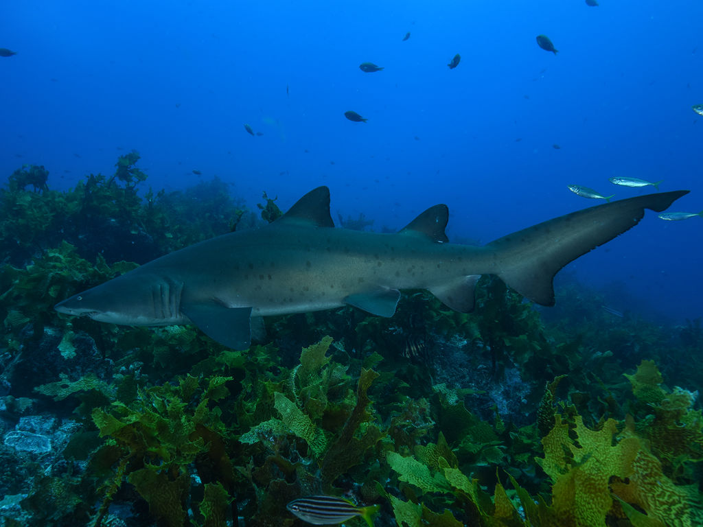 c54b9bc2-123d-467d-82fc-406f562bc5b3