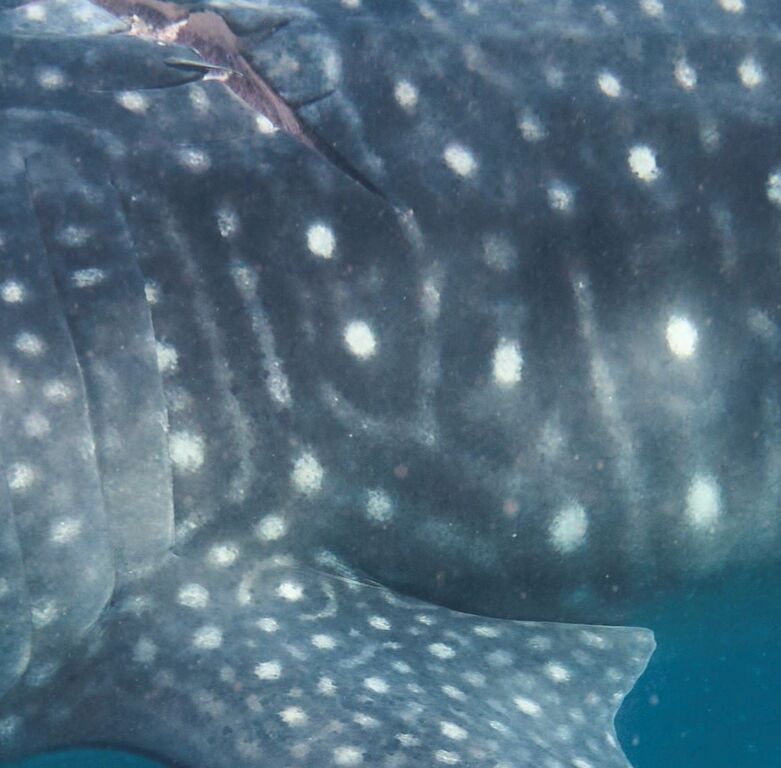 38745309-ccef-4ef0-86ea-b255517433b9