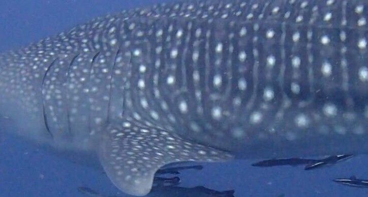 53305c44-d9e0-4c38-a0f3-7c9ddf0b5de2