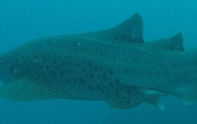 182e87b2-408d-441c-91d3-6d676711e747