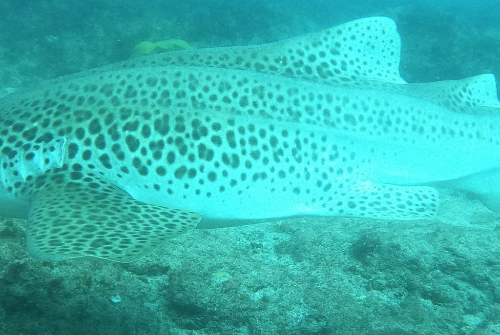 4e07de80-6721-46de-b22c-87907b6969e3