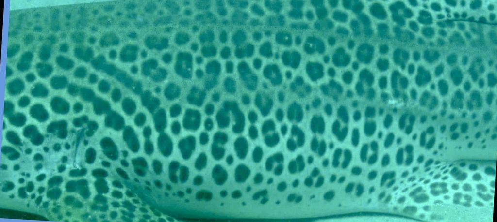 e0c7f621-cf0d-4fd0-91dc-be2f3d47ec52