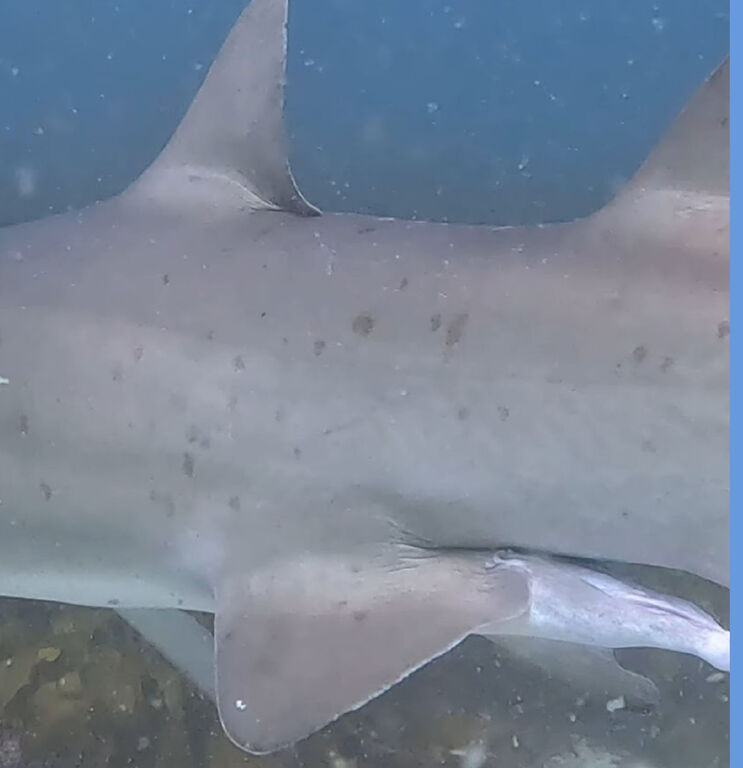 54c0fdd7-cd27-46de-80dd-c8b40f70762a