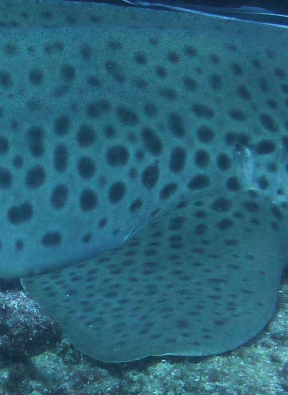 8e26bfbc-f304-49e6-a781-66233c596e78