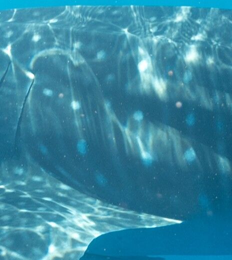 4d68c684-50c0-42a1-a8db-c3a9ad71fb30