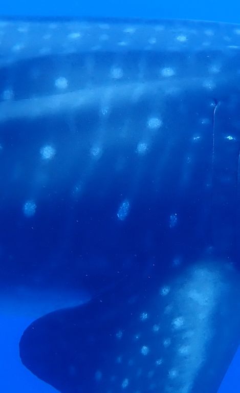 33a80656-66e7-4e3a-b887-079460f0336a