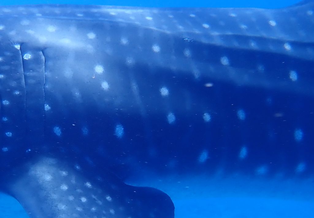 33a80656-66e7-4e3a-b887-079460f0336a