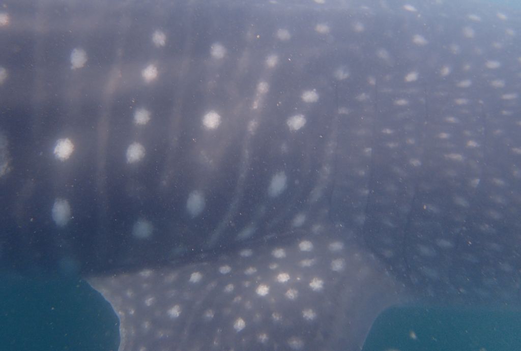 8293c534-2446-4127-9bbd-8bb411971cfc