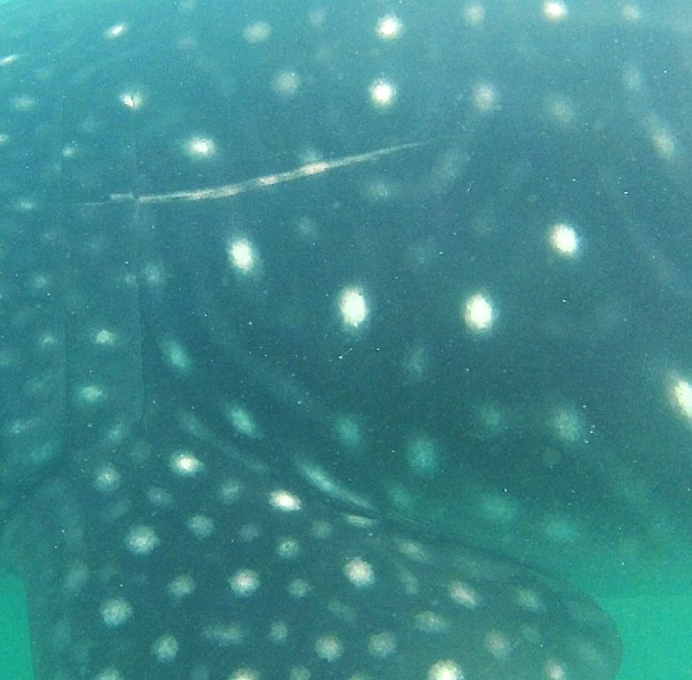 0bc0d09b-d1c6-4226-b3be-f02c274c0512