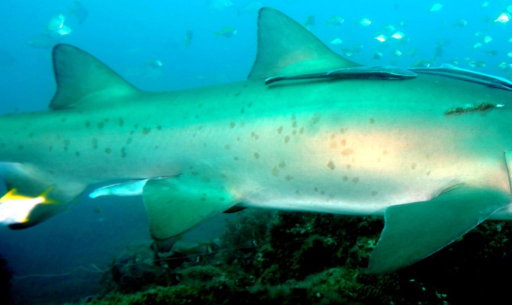 639ac39f-8dbe-495b-afaf-dab4a988696a