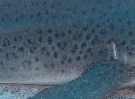 b9eaaaf1-27ad-4802-8160-9bae8b598304