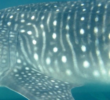 d3985119-36a9-47c7-9d99-8e09bc1d786e