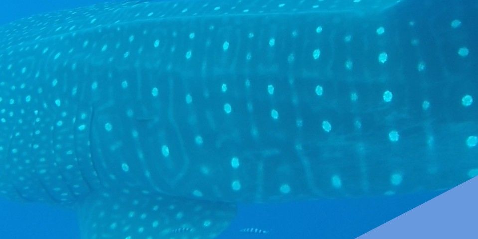 bb9aebc2-0720-44dc-974c-8c303fe37e40