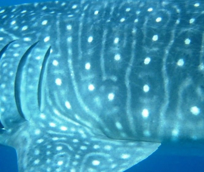 9d605fa9-6041-4729-afe5-4dad38f2ce9b