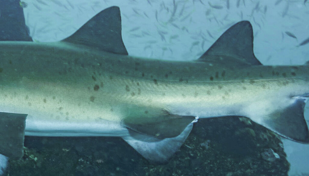 19e25995-7d5a-45bd-91ec-2e758b85c0cf