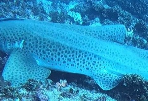 e450915a-9eba-4d67-9524-b9f9a4146cb2