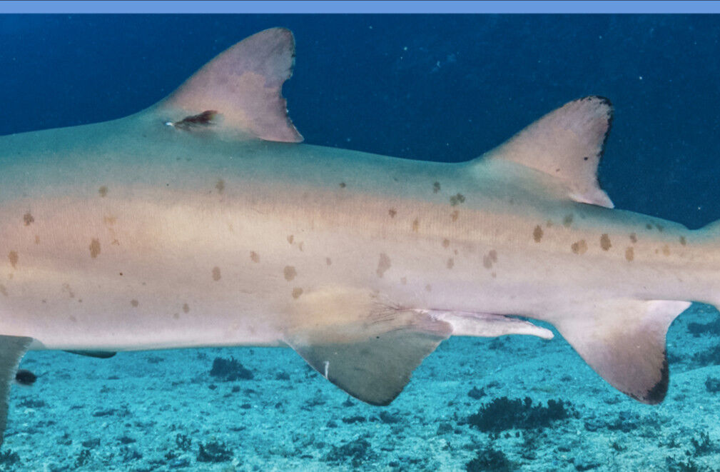 82564c2c-8107-4a07-a6d6-4faec1babbbe