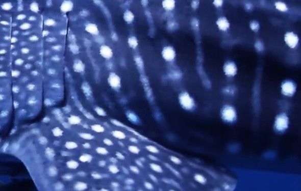 86362727-fe14-4469-97b2-12b24696ccb2