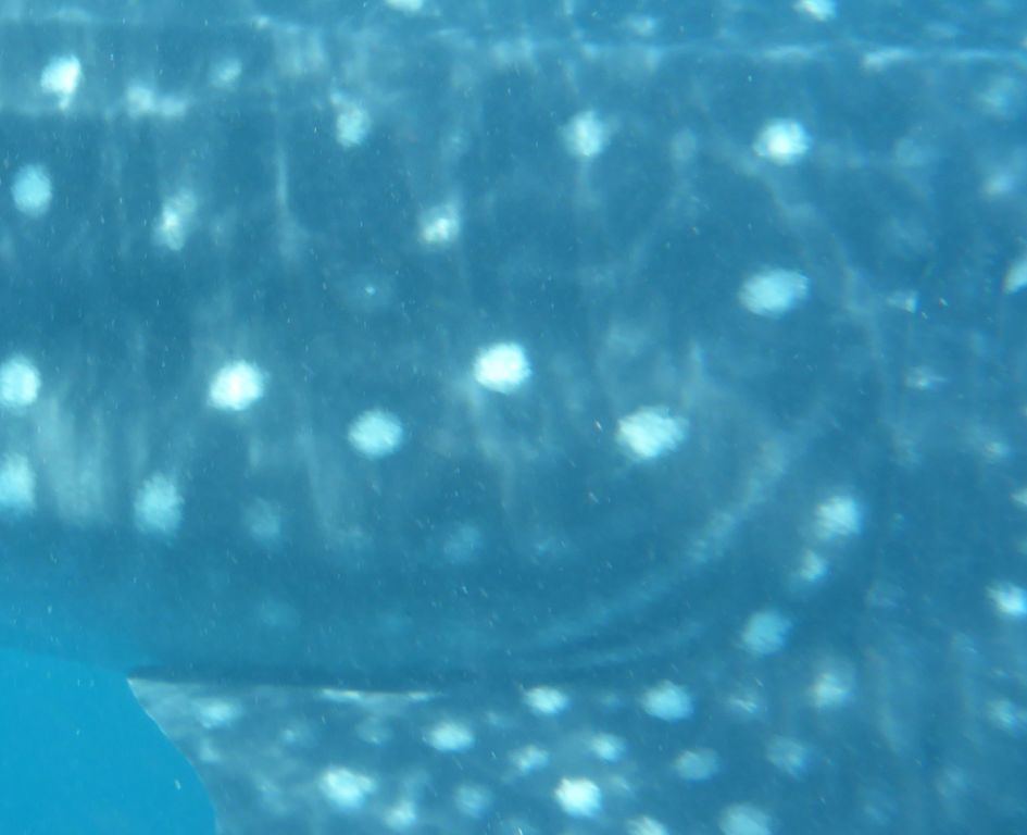 f4ca3c09-52ef-49b1-b5cd-afe4d579da2a