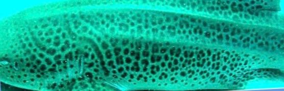 6d5ac39d-6179-4ebf-8fdb-00f763793a2f