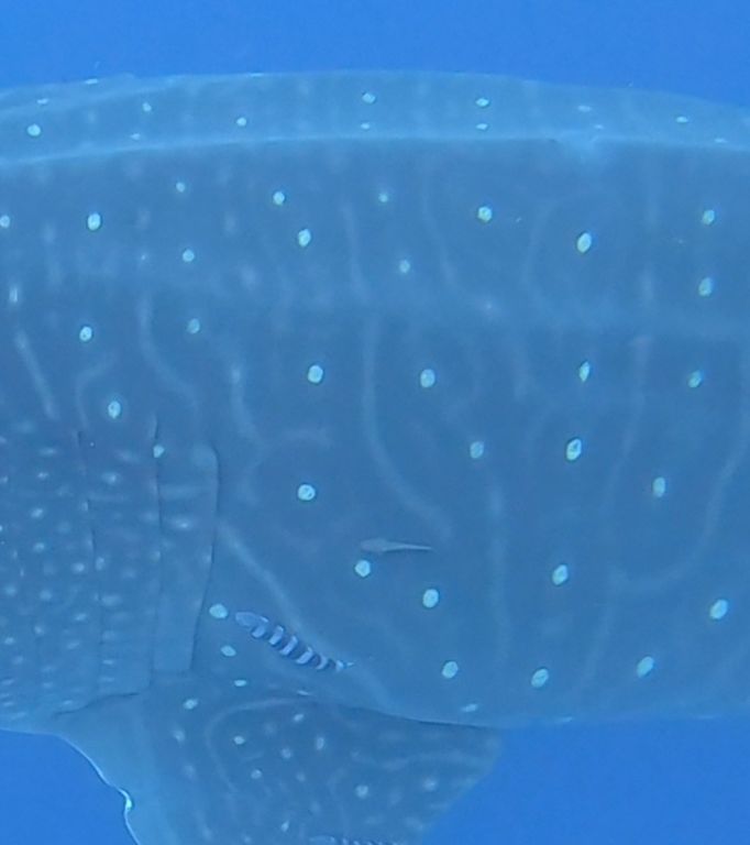 c8d30186-6509-407d-9720-78ac062736aa