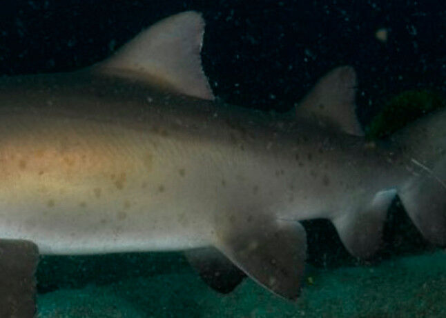 983d9929-1553-43b1-9acc-2e3348b86101