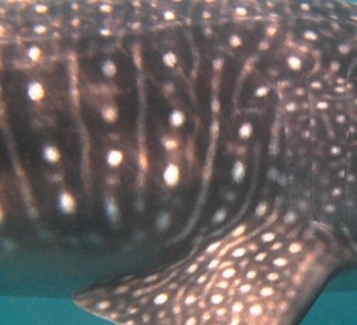 612a5b16-31cd-42e7-8c88-04de013a5a9e