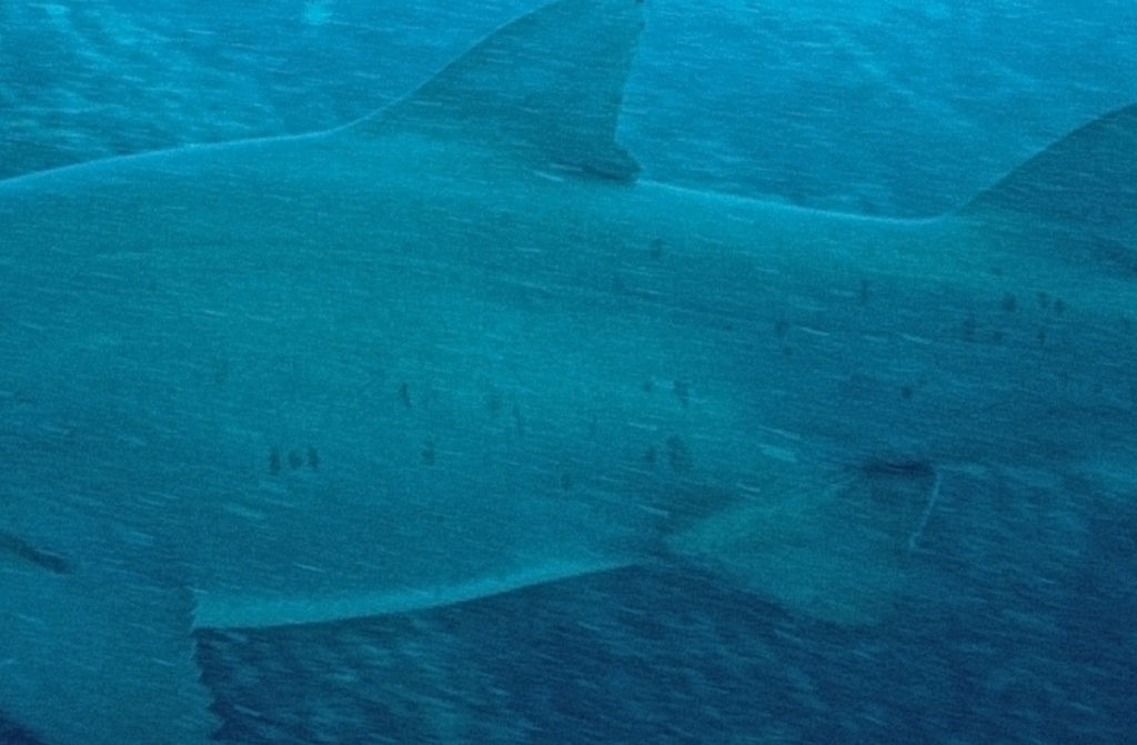 79aa622e-790e-444e-b294-8db9a0370830