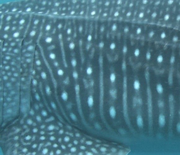 1c6584c0-0dff-4857-b65f-f35ec027cbb4