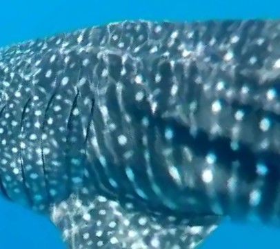 82d41551-012f-4389-aeb2-e9607706592e