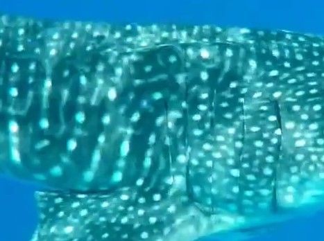 82d41551-012f-4389-aeb2-e9607706592e